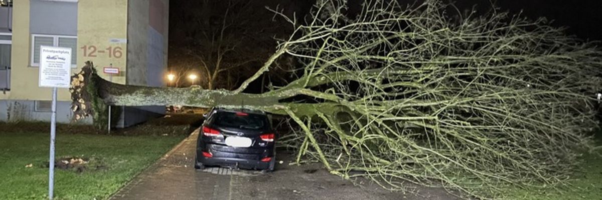 FW Bremerhaven: Baum auf Auto