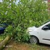 FW Bocholt: Drei wetterbedingte Einsätze nach Unwetter im Bocholter Norden
