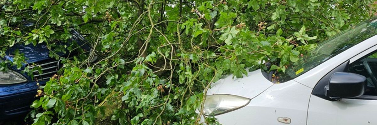 FW Bocholt: Drei wetterbedingte Einsätze nach Unwetter im Bocholter Norden