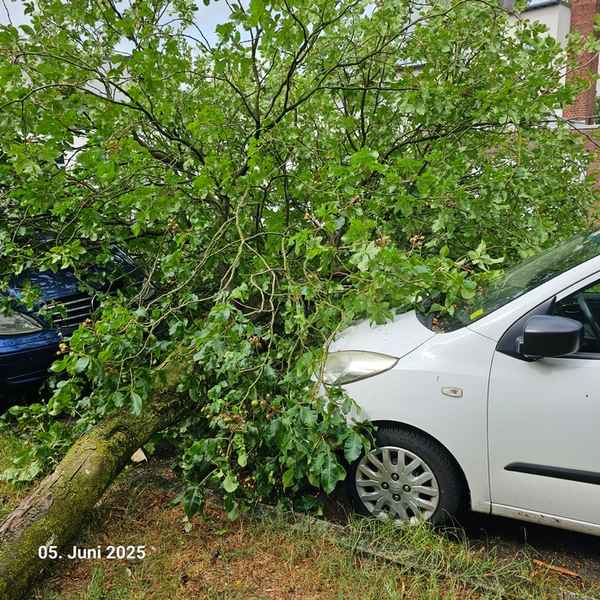 FW Bocholt: Drei wetterbedingte Einsätze nach Unwetter im Bocholter Norden