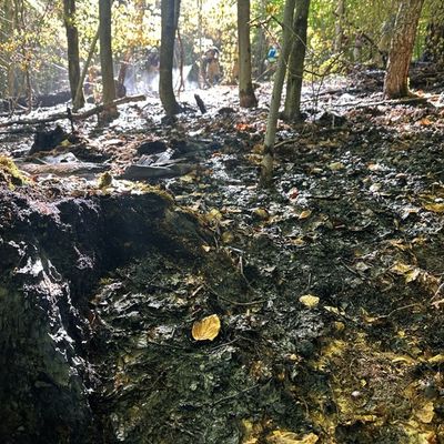 FW Stuttgart: Waldbrand auf 6.500 Quadratmetern in Stuttgart-Rohracker
