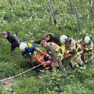 FW-EN: Realistische Einsatzübung der Feuerwehr Herdecke im Weinberg von Project Vino am Hengsteysee - Feuerwehr rettet zwei Personen aus steilem Weinberg