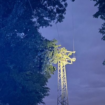 FW Alpen: Äste stürzten auf Stromleitung