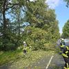 FW Geestland: Baum stürzt auf Fahrzeug | Feuerwehr beseitigt Hindernis auf der L135