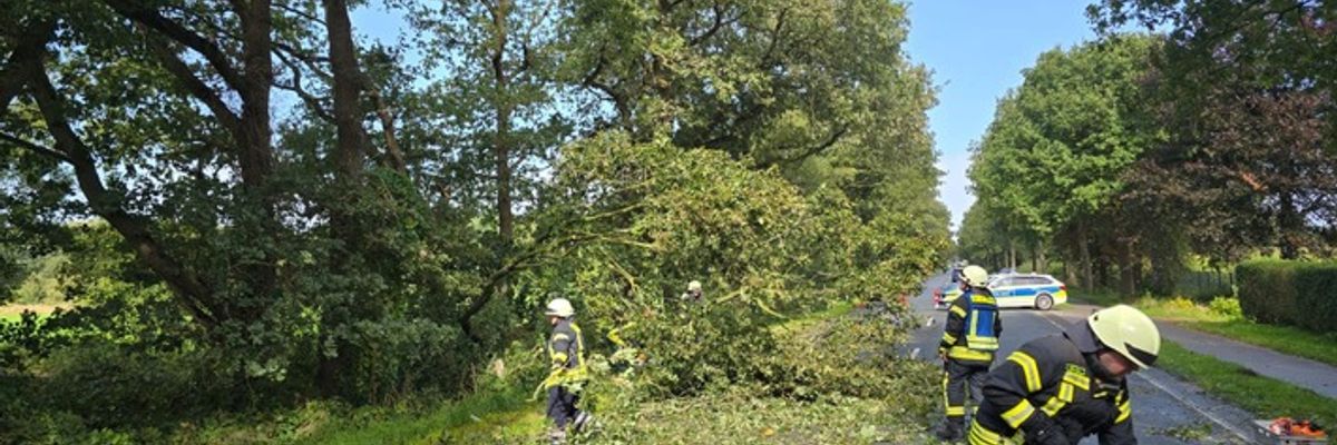 FW Geestland: Baum stürzt auf Fahrzeug | Feuerwehr beseitigt Hindernis auf der L135
