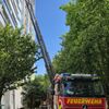 Feuerwehr MTK: Wohnungsbrand in Okrifteler Hochhaus - Mehrere Menschen und Tiere gerettet