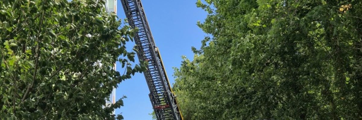 Feuerwehr MTK: Wohnungsbrand in Okrifteler Hochhaus - Mehrere Menschen und Tiere gerettet