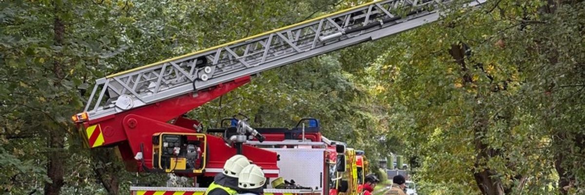 FW Geestland: Höhenrettungseinsatz nach Baumfällarbeiten