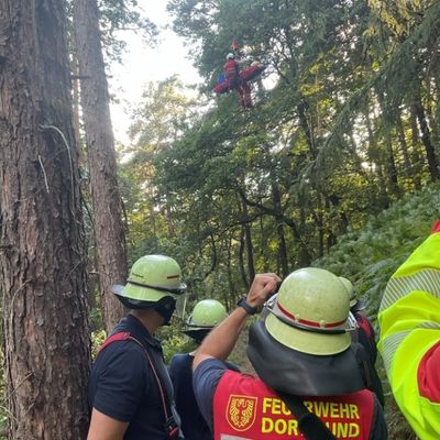 FW-DO: Schwer verletzter Mountainbiker aus unwegsamem Waldgelände gerettet