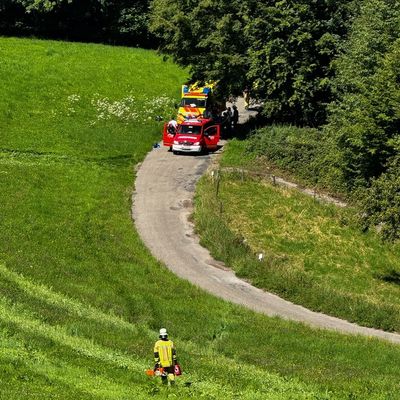 FW Weinheim: Arbeitsunfall im Wald Feuerwehr und Rettungsdienst retten verletzte Person aus unwegsamem Gelände