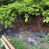 FW Ense: Feuerwehr Ense löscht Waldbrand / Fahrlässigkeit vermutlich Ursache
