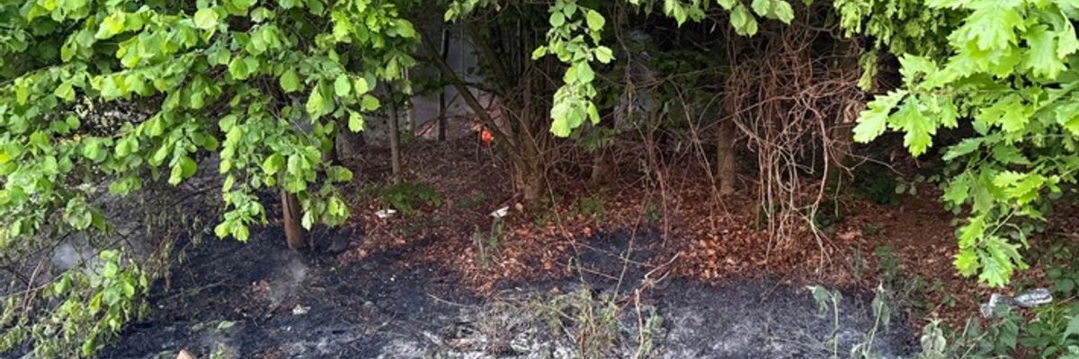 FW Ense: Feuerwehr Ense löscht Waldbrand / Fahrlässigkeit vermutlich Ursache