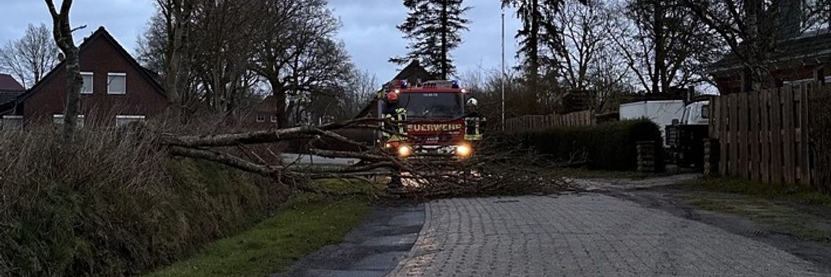 FW-AUR: Umgestürzter Baum blockiert Straße