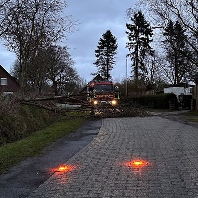 FW-AUR: Umgestürzter Baum blockiert Straße