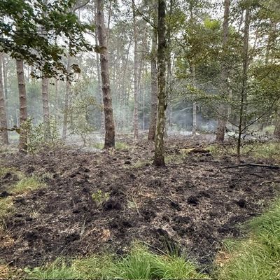 FW Rösrath: Abschlussmeldung zum Waldbrand in der Wahner Heide - Einsatz nach vielen Stunden beendet