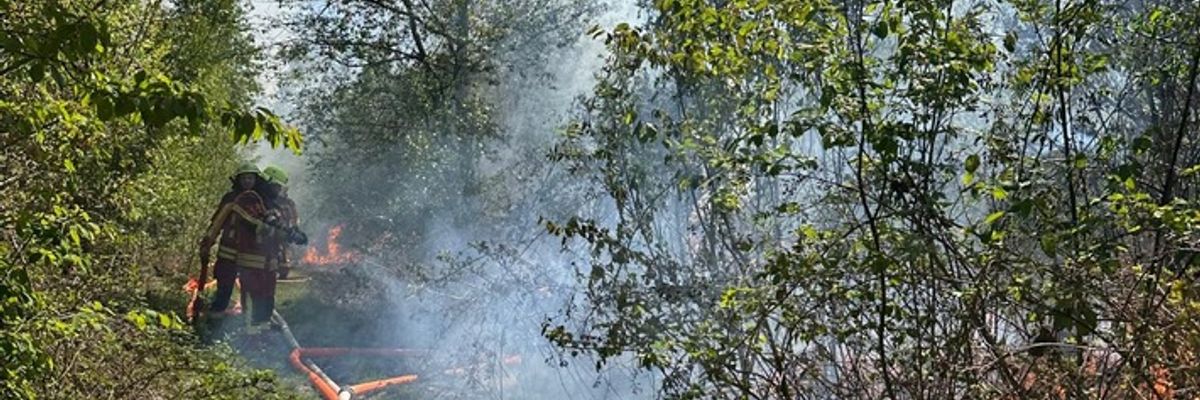 FW-SE: Feuer in einem Waldgebiet in Kaltenkirchen