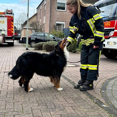 FW Dinslaken: Hund nach Kellerbrand wohlauf