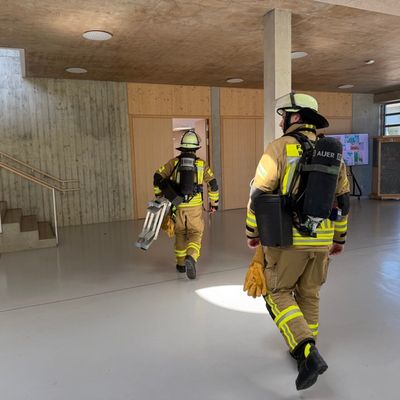 FW Weinheim: Brandmeldealarm und Kleineinsätze im Weinheimer Stadtgebiet