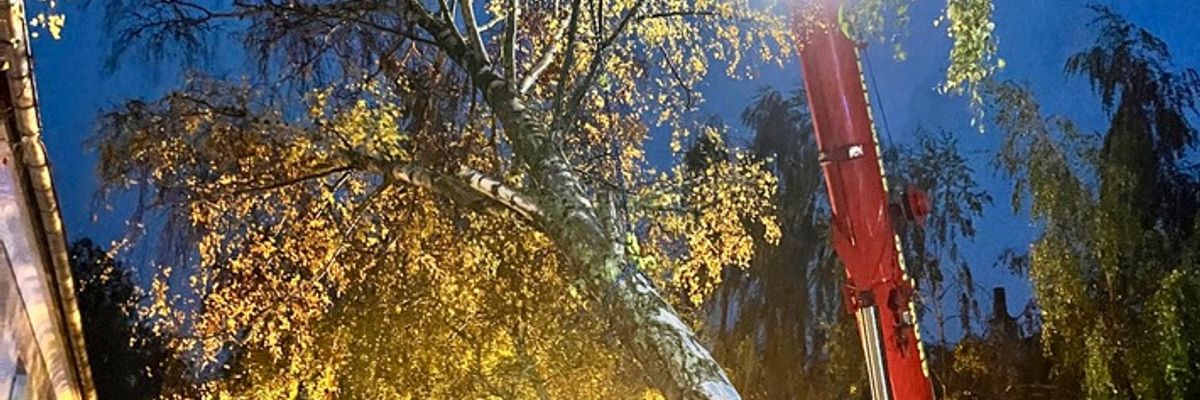 FW-DO: Sturmtiefs "Luise" und "Manja": 168 wetterbedingte Einsätze seit Freitag / Baum auf Mehrfamilienhaus in Körne