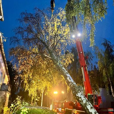 FW-DO: Sturmtiefs "Luise" und "Manja": 168 wetterbedingte Einsätze seit Freitag / Baum auf Mehrfamilienhaus in Körne