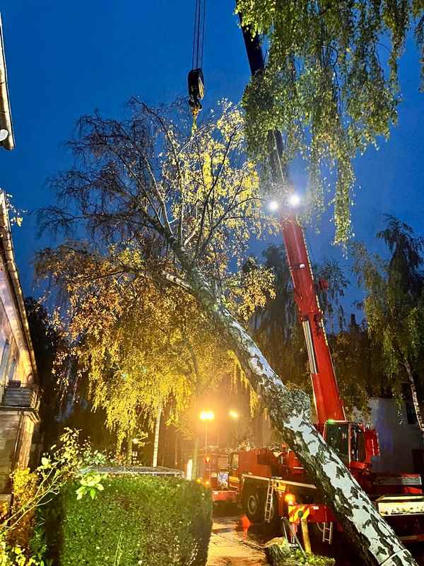 FW-DO: Sturmtiefs "Luise" und "Manja": 168 wetterbedingte Einsätze seit Freitag / Baum auf Mehrfamilienhaus in Körne
