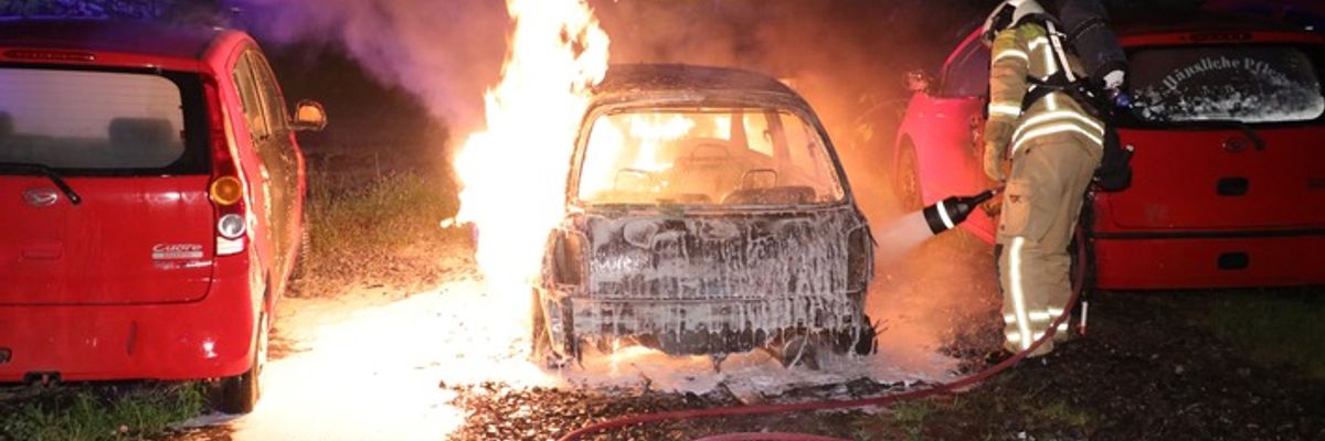 FW Dresden: Zahlreiche Brandeinsätze, darunter mehrere Vegetationsbrände im Stadtgebiet - Feuerwehr Dresden mahnt zur Vorsicht bei Trockenheit und Hitze