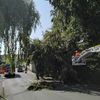 FW-EN: Wetter - bisher neun Einsätze am heißesten Wochenende des Jahres