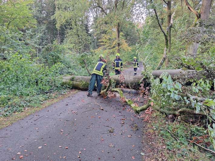 FW Flotwedel: Umgestürzter Baum blockiert Verbindungsstraße bei Sandlingen