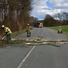 FW-EN: Katzenrettung und umgefallener Baum am Samstag