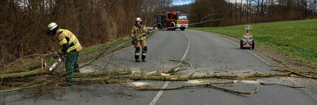 FW-EN: Katzenrettung und umgefallener Baum am Samstag