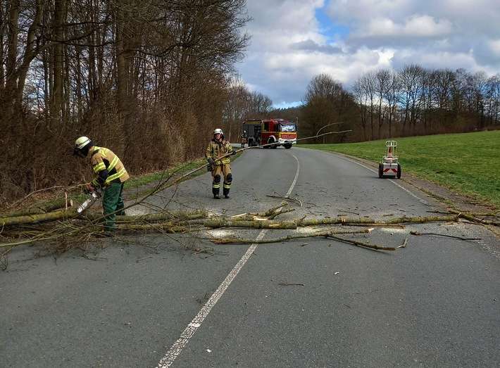 FW-EN: Katzenrettung und umgefallener Baum am Samstag