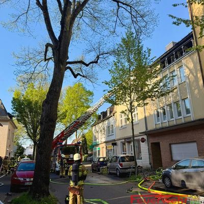 FW-RE: Wohnungsbrand in voller Ausdehnung - zwei Katzen aus der Wohnung gerettet - keine Personen verletzt