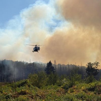FW Kreis Soest: Waldbrand am Möhnesee / Feuerwehren aus dem Kreis Soest im Einsatz