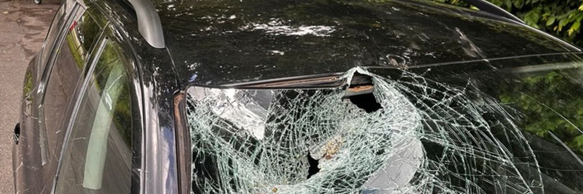 FW-DT: Baum auf Fahrbahn - Windschutzscheibe getroffen