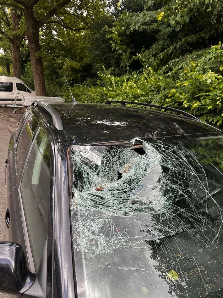 FW-DT: Baum auf Fahrbahn - Windschutzscheibe getroffen
