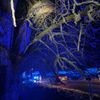 FW Alpen: Brennender Baum in der Sylvesternacht