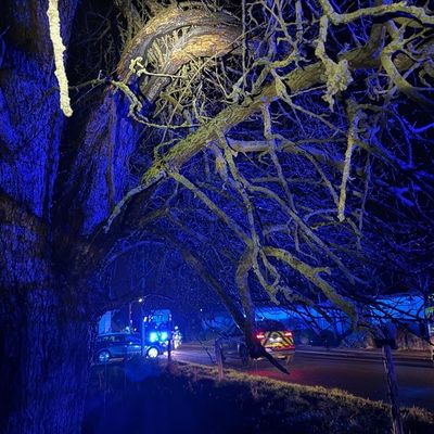 FW Alpen: Brennender Baum in der Sylvesternacht