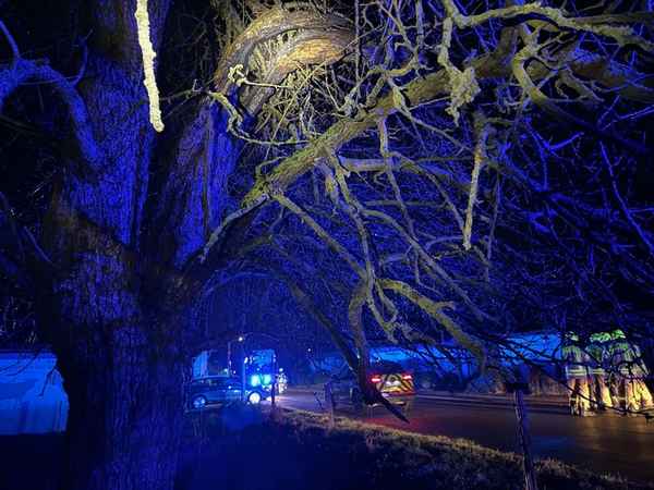 FW Alpen: Brennender Baum in der Sylvesternacht