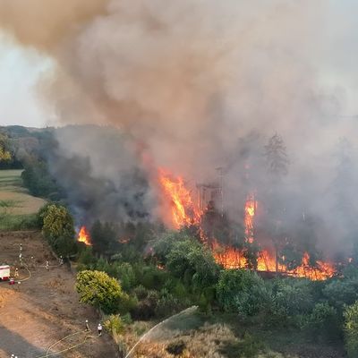 FW Alpen: Überörtliche Hilfe bei Waldbrand in Sonsbeck - Labbeck