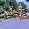 FW Hünxe: Baum blockierte Straße