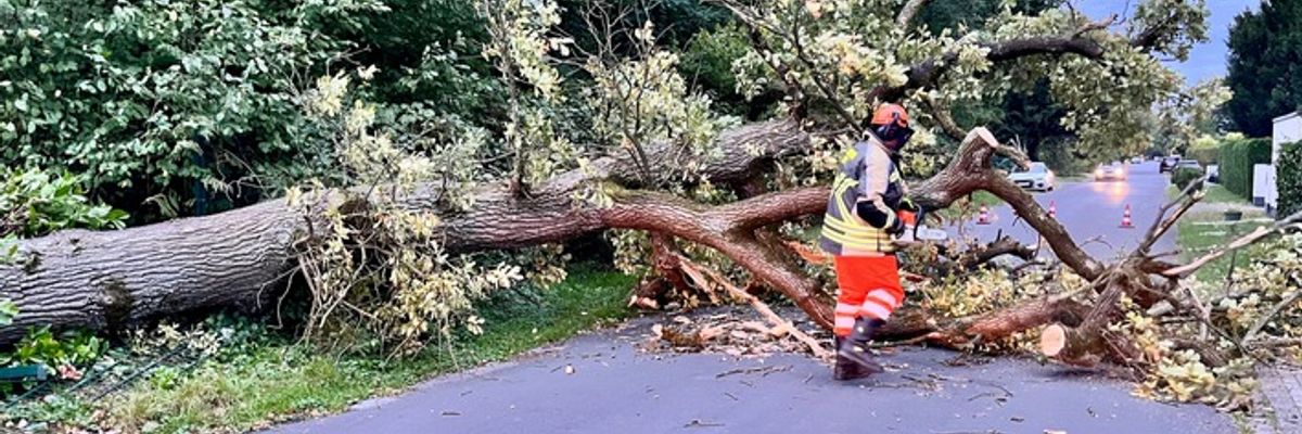 FW Hünxe: Baum blockierte Straße