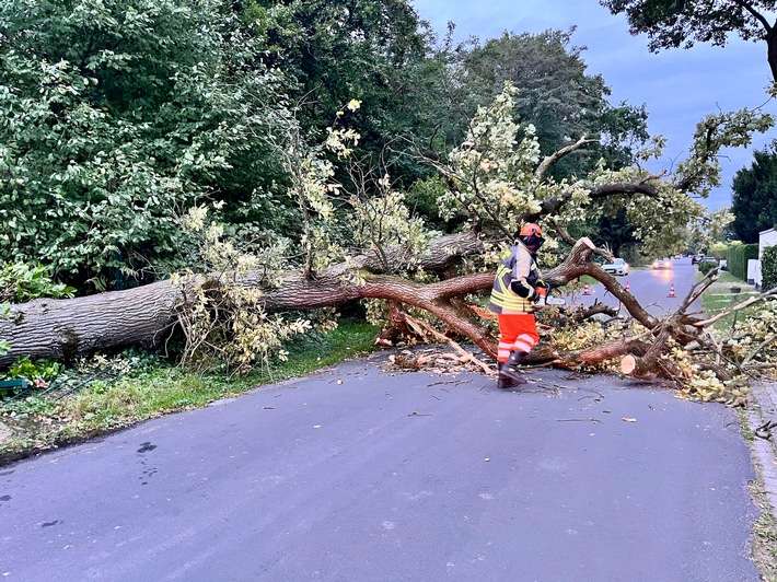 FW Hünxe: Baum blockierte Straße