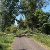 FFW Schiffdorf: Unwetter sorgt für viele Einsätze im Gemeindegebiet Schiffdorf