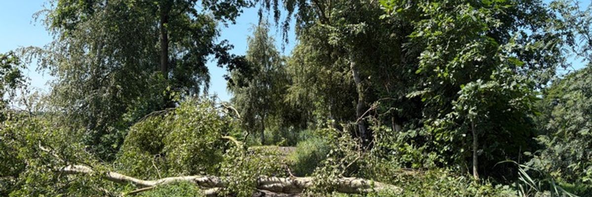 FFW Schiffdorf: Unwetter sorgt für viele Einsätze im Gemeindegebiet Schiffdorf
