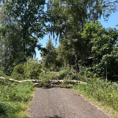 FFW Schiffdorf: Unwetter sorgt für viele Einsätze im Gemeindegebiet Schiffdorf