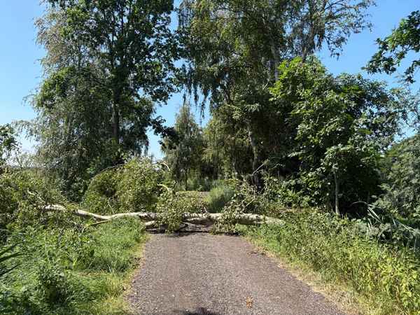 FFW Schiffdorf: Unwetter sorgt für viele Einsätze im Gemeindegebiet Schiffdorf