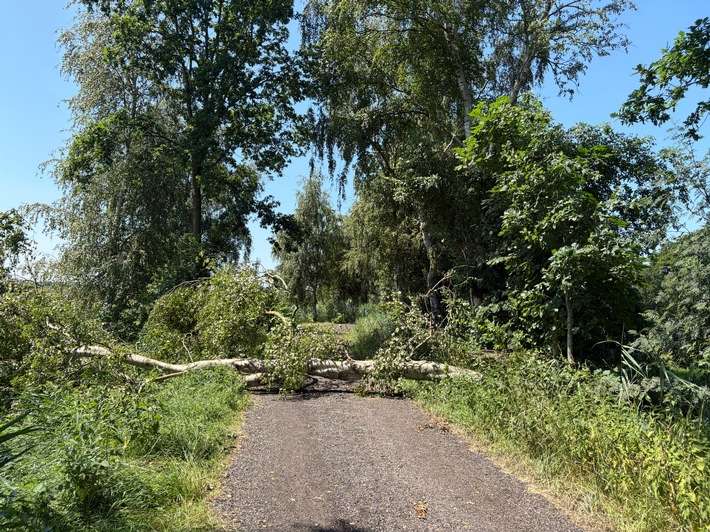 FFW Schiffdorf: Unwetter sorgt für viele Einsätze im Gemeindegebiet Schiffdorf