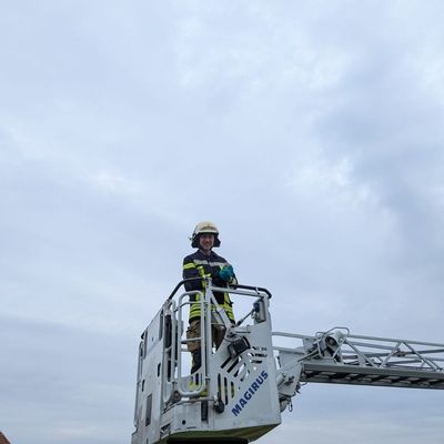 FW Lage: Tierrettung - Turmfalkenküken aus dem Nest gefallen - 15.06.2025