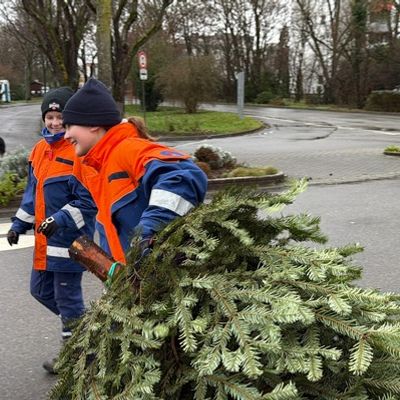 FW Weinheim: Hand in Hand durch Regen und Schnee. Jugendfeuerwehr sammelt Christbäume in den Weinheimer Ortsteilen