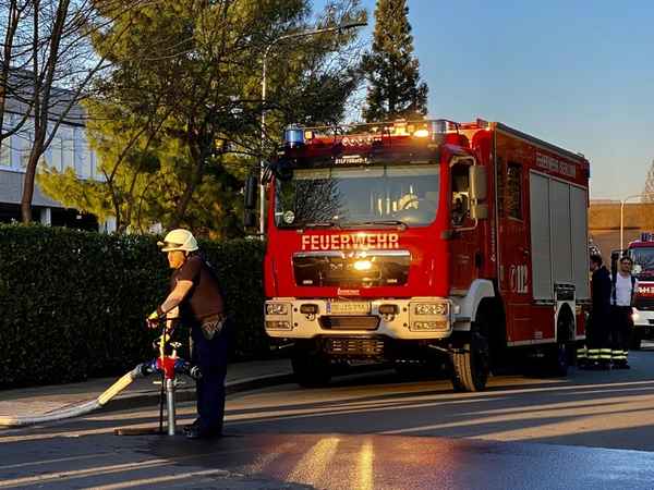 FW-MK: Waldbrand in Letmathe